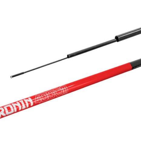 delphin-bic-ronin-7-m delphin-bic-ronin-7-m