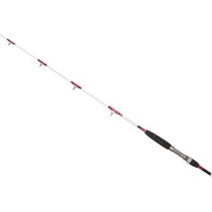 Hell-cat prút ares special hard 1,95 m 170-250 g