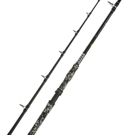 wft-prut-big-cat-bank-cat-2-70-m-200-1000-g