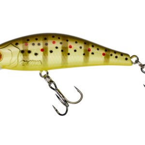 GUNKI Rodan 59 SHW, Wild Trout