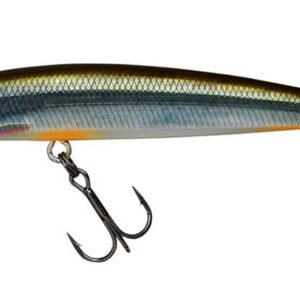 ILLEX Battle Minnow 80 F, Roach