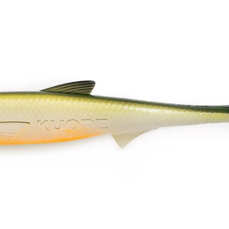 113115 113115