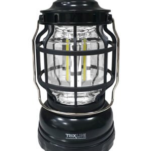 Lampa TRIXLINE TR 216 Black, Led Cob 3x3W