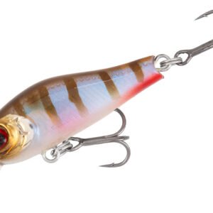 MIKADO Prominnow 3,5 cm, Oikawa Perch
