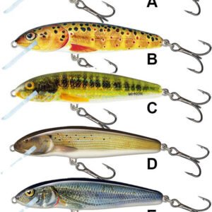 SALMO Minnow 5F E - Spirlin