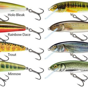 SALMO Minnow Sinking 5S Holo Bleak